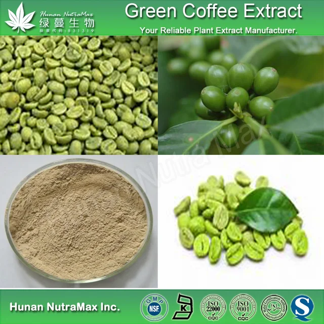 green coffee bean extract/plant extract