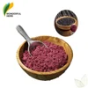 /product-detail/high-purity-fruit-juice-extract-organic-brazil-acai-berry-powder-freeze-dried-60719919689.html