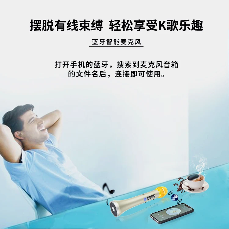 Professional DSP sound chipset ,Karaoke Microphone wireless BT speaker Family KTV L698DSP 20W Loud speaker - ANKUX.COM