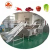 High Quality Dried Fruit Processing Machine, Orange Fruit Processing Line, Food Processing Machine