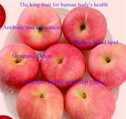 apple 12_.jpg