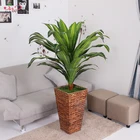 Hot sale artificial decorative tree house plants