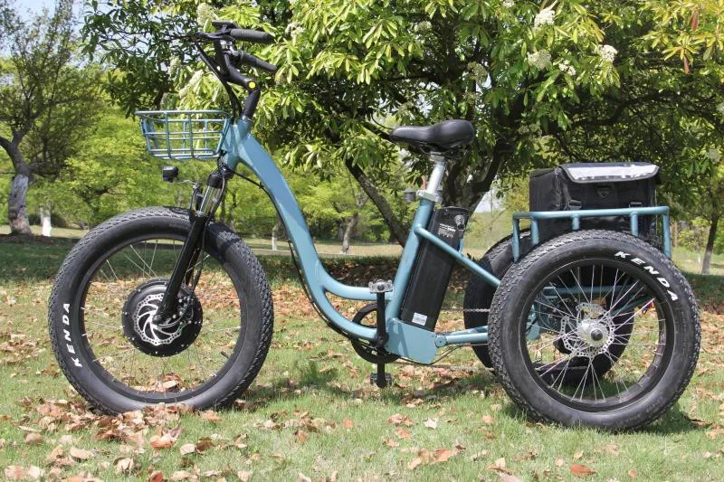 2018 high quality fat tire cargo electric bike/e bike