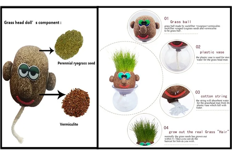 迷你植物娃娃草头草娃娃