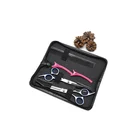 Professional 6 inch stainless steel hair cutting scissors set