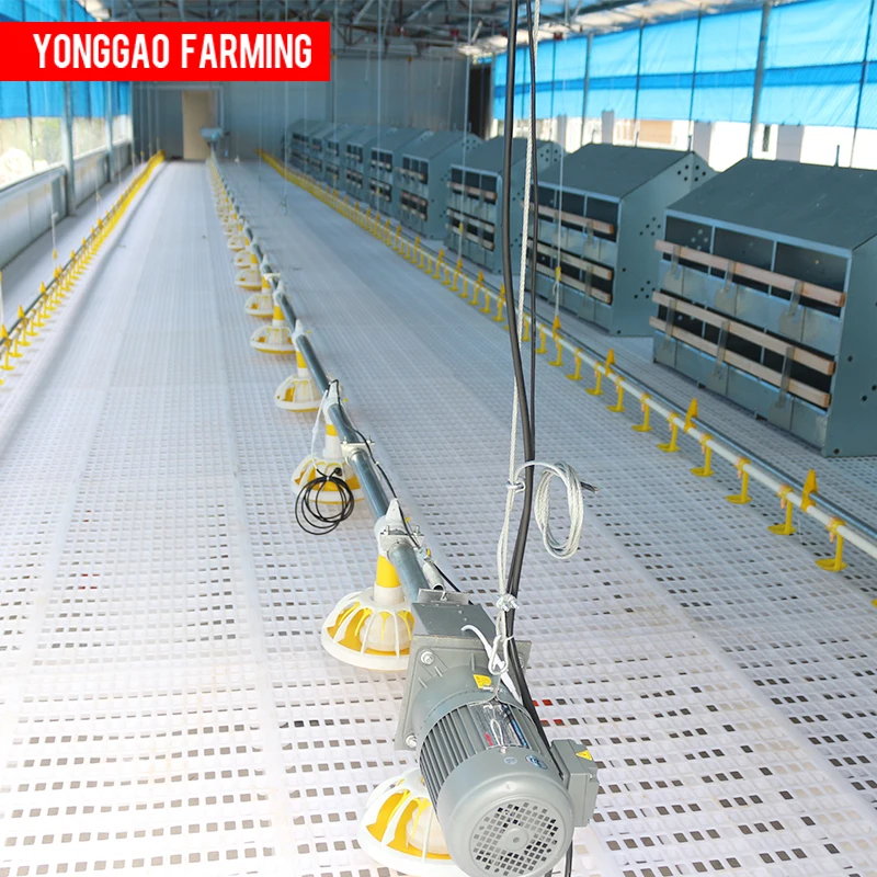 Chicken Farm House Automatic Pan Feeder Line Price Broiler Feed