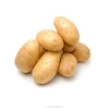 /product-detail/high-quality-fresh-potato-60839442675.html