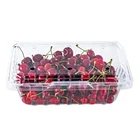 Disposable container biodegradable packaging tray with lid PET good quality clear plastic fruit box