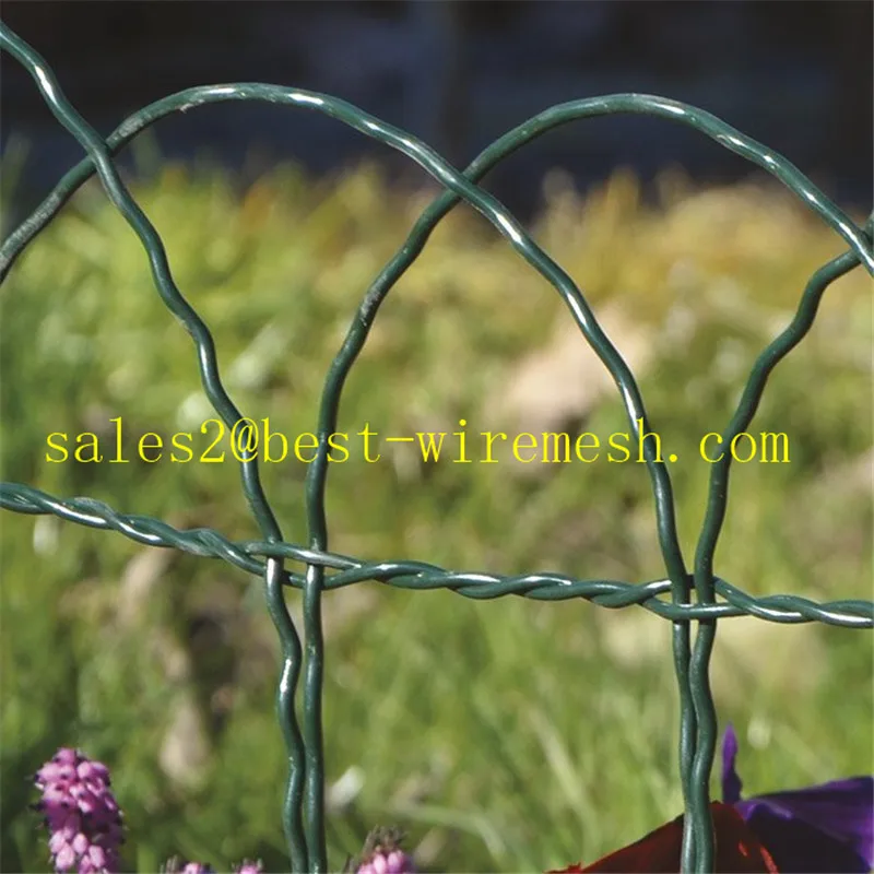 Filo d'epoca da giardino recinzione e cancello/fiore recinzione del giardino