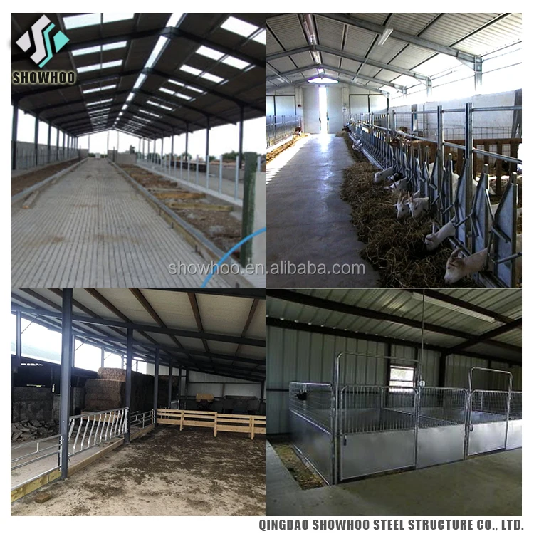 Low Cost Steel Structure Prefabricated Cow Farm House Goat Farm Shed