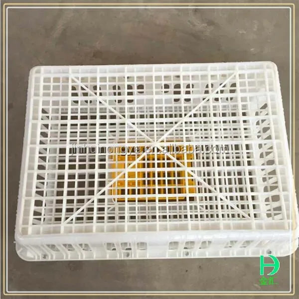 Professional Plastic Live Chicken Cages To Transport For 