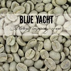 Grade AA Green coffee beans Arabica beans Sun-cured Processing