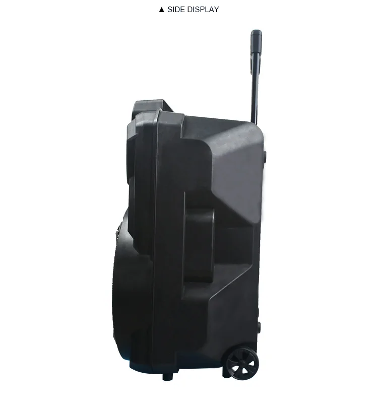 FEIYANG TEMEISHENG Newest private rechargeable trolley speaker 12inch for promotion - ANKUX.COM