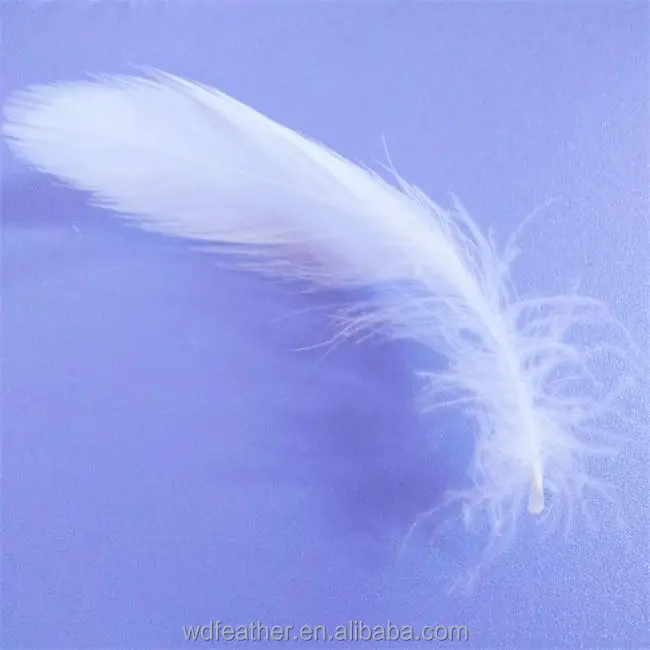 fashion cheap goose feather factory for sale