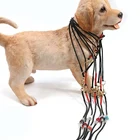 Waterproof Rope Leash Wedding Custom Leash Beaded Show Dog Leash Control and Training