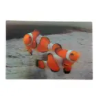 customized high quality lenticulard 3d custom postcard book