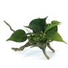 /product-detail/low-personalized-aquarium-decorations-artificial-bonsai-tree-price-60725542528.html