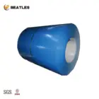 65mn Hot rolled/cold rolled/galvanized/ ppgi steel coils for roofing sheet