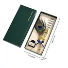 European Style Young Artists Peacock Feather Dip Fountain Pen Carved Gift Set for Kids