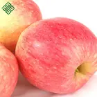 chines red fuji apple delicious red gala apple