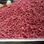 New crop frozen IQF raspberries whole, broken 95/5 price