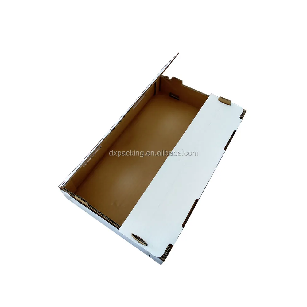 packaging & printing  boxes  corrugated box  corrugated box for