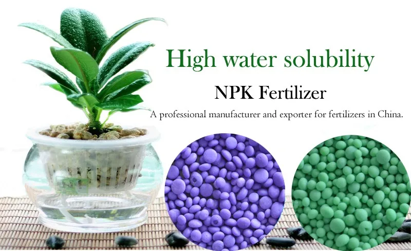 High Efficiency Granular NPK Fertilizer 15-5-20