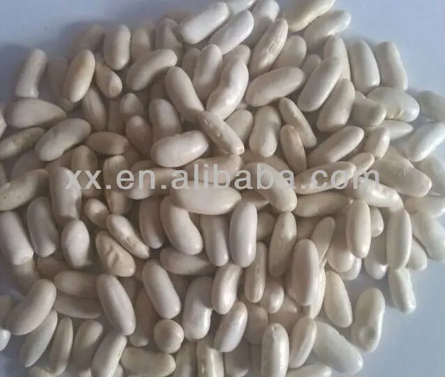 white kidney beans