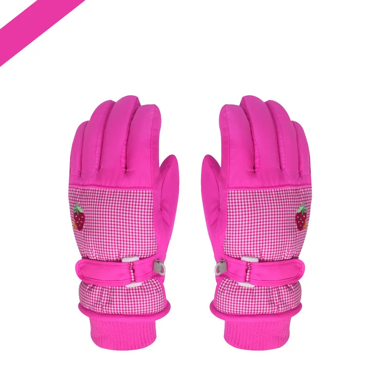 5322472254_1654222785