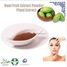food grade noni powder,made of fresh noni fruit.