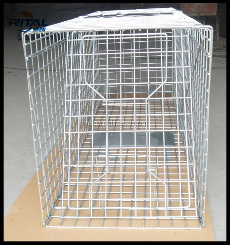 Live Bobcat Traps For Sale Buy Bobcat Live Trap,Bobcat Traps For Sale