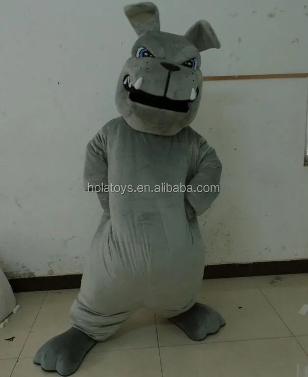 bull dog.jpg