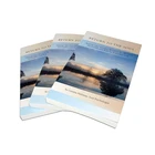 Factory custom color softcover novel book printing service