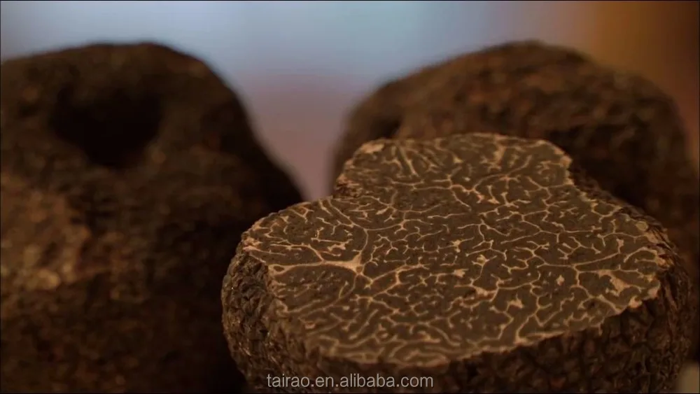 Export to Italian truffle wholesale truffles and mushrooms for sale truffle mushroom