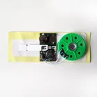 Recording voice chip/Custom sound module