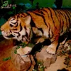 /product-detail/amusement-park-animatronic-life-size-animal-model-realistic-robotic-tiger-60809195322.html
