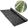 /product-detail/egp-pwm016-100-pp-woven-agriculture-ground-cover-mulch-film-weed-control-60736158704.html
