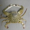 Best Quality Frozen Whole King Crab at Wholesale Price