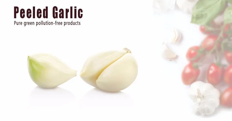 New crop fresh peeled garlic