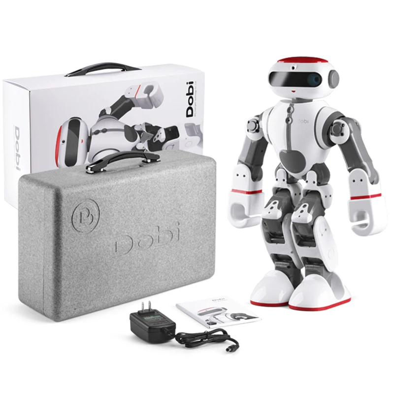 RB-13K250 Dobi Robot(2)