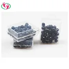 Black Plastic Ball Head Map Tacks Push Pins wtih steel point