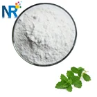 Natural Sweeteners Stevia Leaf Extract Powder Stevia Sugar