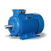 IE2 Series Three Phase Asynchronous Induction Electric Motor