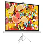 100" 4:3 HD Tripod Stand Projector Screen Home Office Portable Pull Up Foldable Projector Screen