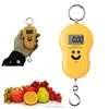 /product-detail/10g-plastic-small-digital-lcd-display-electronic-hanging-weight-scale-60702675193.html