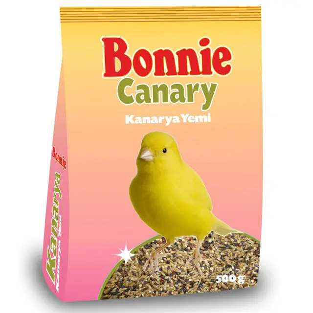 bird seed canary