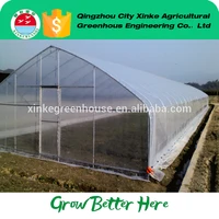 China Cheap Single Span Green House