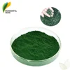 /product-detail/wholesale-organic-bulk-herb-extract-protein-powder-bulk-spirulina-60717197104.html