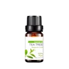 /product-detail/100-pure-and-natural-massage-oil-tea-tree-oil-60789233994.html