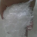 Polar bear BP grade synthetic menthol crystals bulk price supplier